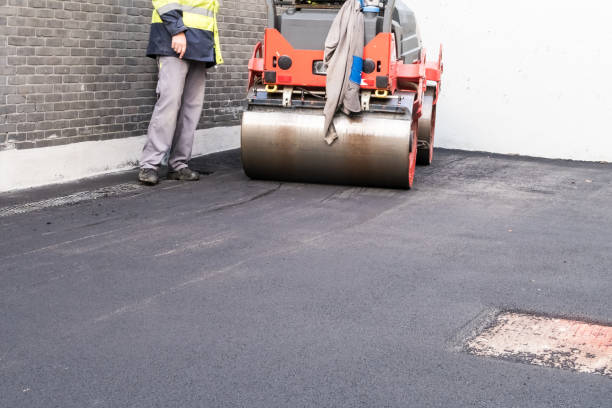 Best Driveway Drainage Solutions  in Lam, AR